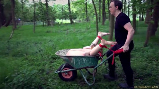порно видео 114578
