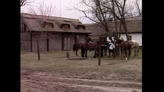 порно видео 116618