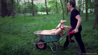 порно видео 116839