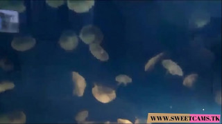 порно видео 136622
