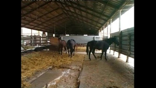 порно видео 146453