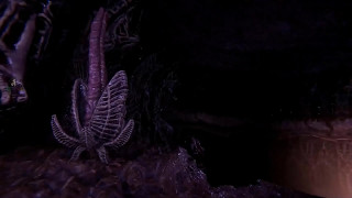 порно видео 214337