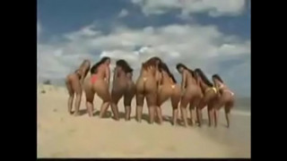 порно видео 222871