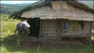 порно видео 245132