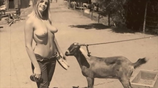порно видео 265734