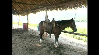 порно видео 279474