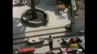 порно видео 312787