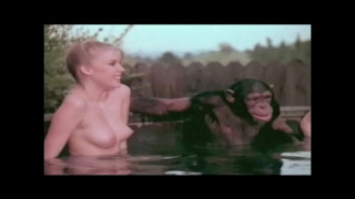 порно видео 324049