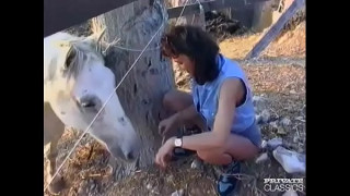порно видео 334083