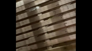 порно видео 337613