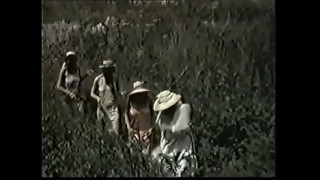 порно видео 377511