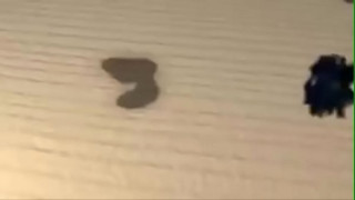 порно видео 383480