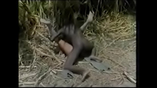 порно видео 39336
