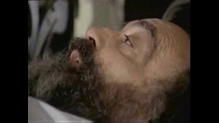 порно видео 397032
