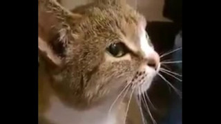 порно видео 427048