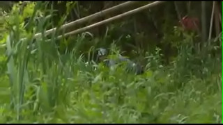 порно видео 427204