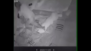 порно видео 461913